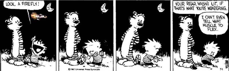 Calvin trying to be a firefly